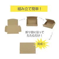 ロジマート ダンボール メール便 NO600 240*123*20 500枚 引っ越し フリマアプリ 梱包（直送品）