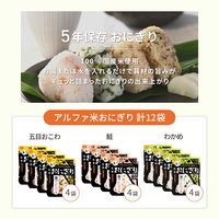 【非常食】ピースアップ 4人用/3日分(36食)非常食セット 10001680 1セット