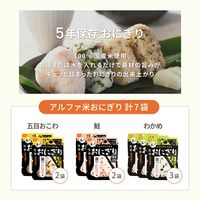 【非常食】 ピースアップ 1人用/7日分（21食）非常食セット/100017 10001724 1セット