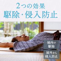 蚊 駆除 蚊取り器 アースノーマット 取替えボトル 30日用 無香料 液体蚊取り 詰め替え用 殺虫剤 室内 1セット（2箱×2本入） アース製薬