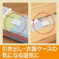 ドライペット 除湿剤 シートタイプ 引き出し・衣装ケース用 (衣類・皮製品用) お徳用 12シート入 1セット（2個） 白元アース