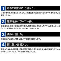 ウルトラ巣のアリフマキラー 1箱（10個入） 毒餌剤　殺虫剤 フマキラー