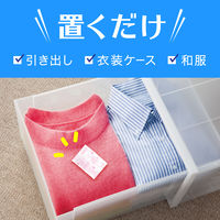 消臭ピレパラアース スヌーピー 1年間防虫 引き出し・衣装ケース用 1セット（2個）アース製薬