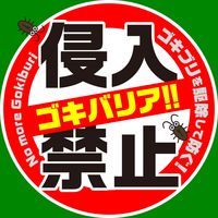 トコジラミ ゴキブリ 駆除 ゴキバリア 250ml 1セット（1個×2） 殺虫スプレー 害虫駆除 殺虫剤 スプレー ナンキンムシ 対策 アース製薬