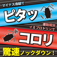 コックローチ ゴキブリがうごかなくなるスプレー ゴキブリ 駆除 300ml 1個 KINCHO キンチョー