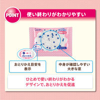 ドライペット 乾燥剤 乾燥キーパー (シリカゲル) 10g×12個