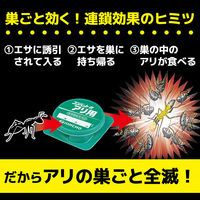 KINCHO コンバット 蟻用 駆除剤 約3ヶ月間有効 1箱（6個入） アリ 置き型 大日本除虫菊 キンチョー キンチョウ