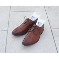 ドライペット 除湿剤 スピード吸湿 くつ用 くりかえし再生タイプ 1足分(150g×2)