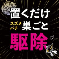 ハチの巣コロリ スズメバチ用 駆除エサ剤 ハチ 蜂 殺虫剤 毒餌剤 誘引剤 ベイト剤 吊り下げ 1セット（1箱（2個入）×2） アース製薬