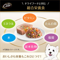 シーザー 吟選ビーフ 野菜入り 100g 24個 ドッグフード ウェット トレイ