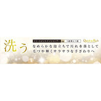 ライオン クイック＆リッチ トリートメントインシャンプー 愛犬用 200ml 国産 1本