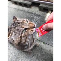 いなば CIAO チャオ ちゅーる 猫 11歳以上 まぐろ・かつお 国産（14g×4本）30袋 ちゅ～る キャットフード 猫用 おやつ