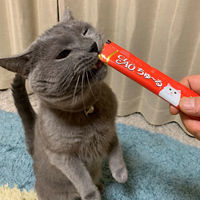 いなば CIAO チャオ ちゅーる 猫 かつお 国産（14g×4本）30袋 ちゅ～る キャットフード 猫用 おやつ