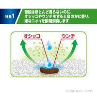 デオサンド　オシッコのあとに香りで消臭する砂　ナチュラルグリーン　5L　1袋