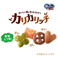 銀のスプーン おいしい顔が見られるおやつ 低カロリー設計 カリカリッチ シーフード 国産 60g 3袋 キャットフード おやつ