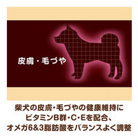 ベストバランス 柴犬用 鶏ささみ・緑黄色野菜・キャベツ入り 60g 12袋 国産 ドッグフード ウェット パウチ