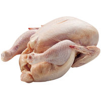 サンライズ MINCH SPECIAL（ミンチスペシャル）犬用 小型犬 ダイエット 緑黄色野菜入り 1.2kg 1袋 マルカン