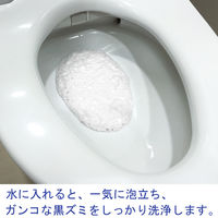 ブルーレット さぼったリング 強力発泡で便器の水ぎわの黒ズミ汚れを除去 1セット(3包×2箱) 小林製薬