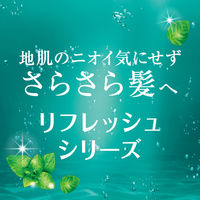 h&s リフレッシュ シャンプー 詰め替え 特大 550ml 2個 P&G