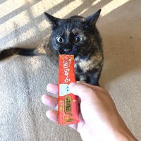 いなば CIAO チャオ ちゅーる 猫 まぐろ＆タラバガニ 国産（14g×4本）10袋 ちゅ～る キャットフード 猫用 おやつ