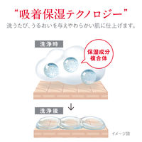 ハダカラ（hadakara）ボディソープ 清潔感のあるリッチソープの香り 詰め替え 360ml 3個 ライオン