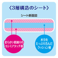 デオクリーン　からだふきシート　中大型犬用　無香　1パック（15枚）　ユニ・チャーム