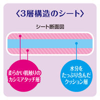 デオクリーン　からだふきシート　中大型犬用　香り付き　1パック（15枚）　ユニ・チャーム