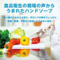 ハンドラボ　薬用泡ハンドソープ　詰替250mL　1セット（2個）サラヤ