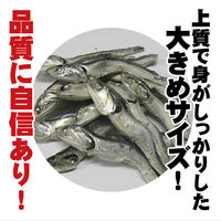 ペット用 築地減塩にぼし 国産 100g 1袋 キャットフード 猫用 おやつ