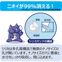 シリカサンドクラッシュ 4.6L 1袋 アース・ペット