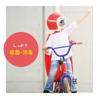 ミューズ 泡ハンドソープ キッチンミューズ 本体 250ml 【泡タイプ】