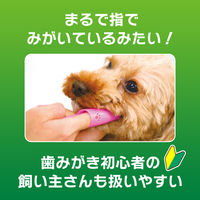 ペットキッス（PETKISS）犬猫用 歯みがき 指サック歯ブラシ 国産 3本 ライオン