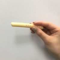 チーズフード プレーン 10g×6本 国産 2袋 ペットライン 旧日清ペットフード ドッグフード キャットフード おやつ