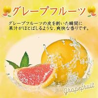 トイレの消臭力スプレー  グレープフルーツ 365ml エステー