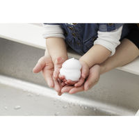 バブルガード ハンドソープ 本体 300mL シャボン玉石けん