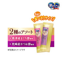 銀のスプーン おやつ 2種のアソート とろリッチまぐろ＆かつお入り 国産 48g（6g 8本入）4袋 キャットフード 猫用