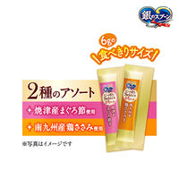 銀のスプーン 2種のアソート とろリッチまぐろ＆鶏ささみ入り 国産 48g（6g×8本入）4袋 猫用 おやつ