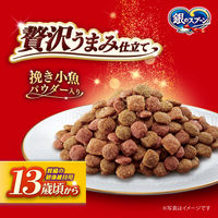 銀のスプーン 贅沢うまみ仕立て 13歳が近づく頃から 国産 1.3kg（小分けパック4袋入）3袋 キャットフード ドライ