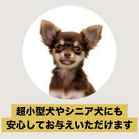 犬用 ご馳走ささみ 白身魚 70g 1個 九州ペットフード