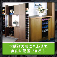 エステー　脱臭炭　こわけ　下駄箱用　55g　1パック（3個入）