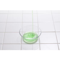 インティマ intima Dandelion extract たんぽぽ フレッシュグリーンの香り 200ml デリケートゾーン専用ソープ