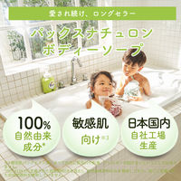 パックスナチュロン　ボディーソープ泡状ポンプ式Ｎ　５００ml 1個　敏感肌用　無添加　天然由来100%　せっけん　肌荒れ予防 【泡タイプ】