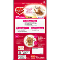 ビューティープロ 2ヶ月から12ヶ月までの子猫用 国産 1.5kg 日本ペットフード キャットフード ドライ