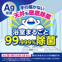 ライオン ルック おふろの防カビくん煙剤 せっけんの香り 1セット（3個入）  風呂 浴室 燻煙