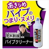 茂木和哉 カビ とり＆パイプ クリーナー 掃除 500g レック (C00400)