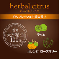 ウォシュボン プライムフォームハンドソープ ハーバルシトラス 詰め替え 500ml 1セット（2個） サラヤ