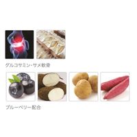 犬の歯磨きガム デンティ・スリーフェアリー シニア 超小型犬用 プレミアム素材 SS 14個 ドッグフード おやつ デンタルケア