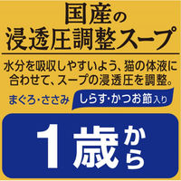 メディファス 猫用 パウチ スープ1歳から しらす・かつお節入り 40g 国産 12袋 ペットライン
