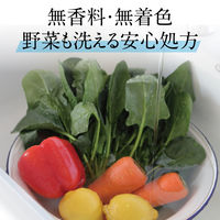 【お試しサイズ】ヤシノミ洗剤 無香料・無着色 200ｍL 1セット（2個入） 食器用洗剤 サラヤ