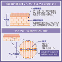 ラメランス 泡ボディウォッシュ アクアティックホワイトフローラル ポンプ 480ml 1個 クラシエ